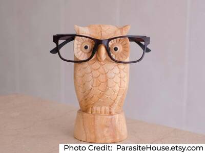 Parasite wood owl glasses holder stand