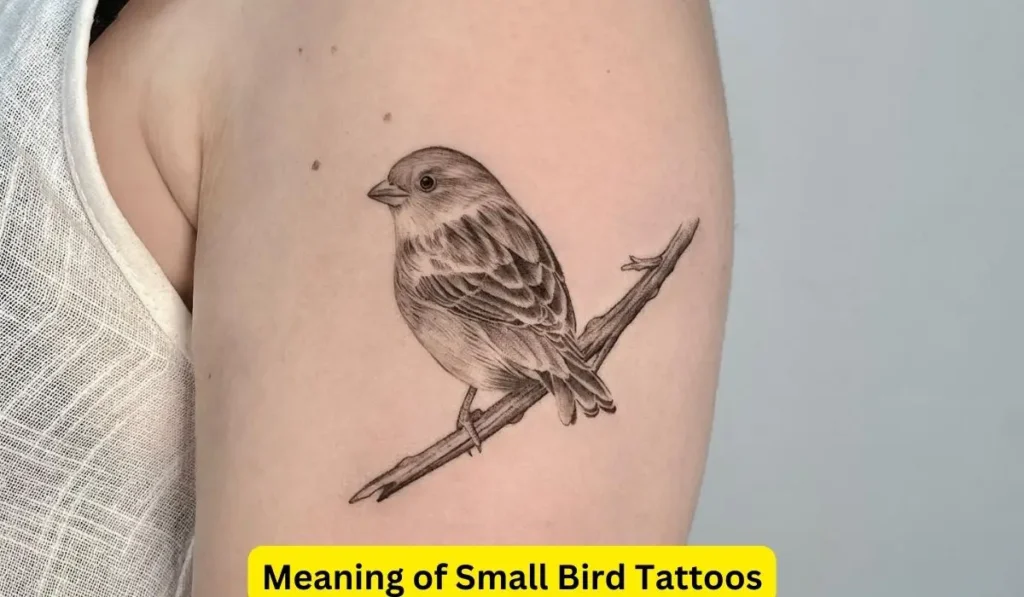 Meaning of Small Bird Tattoos
