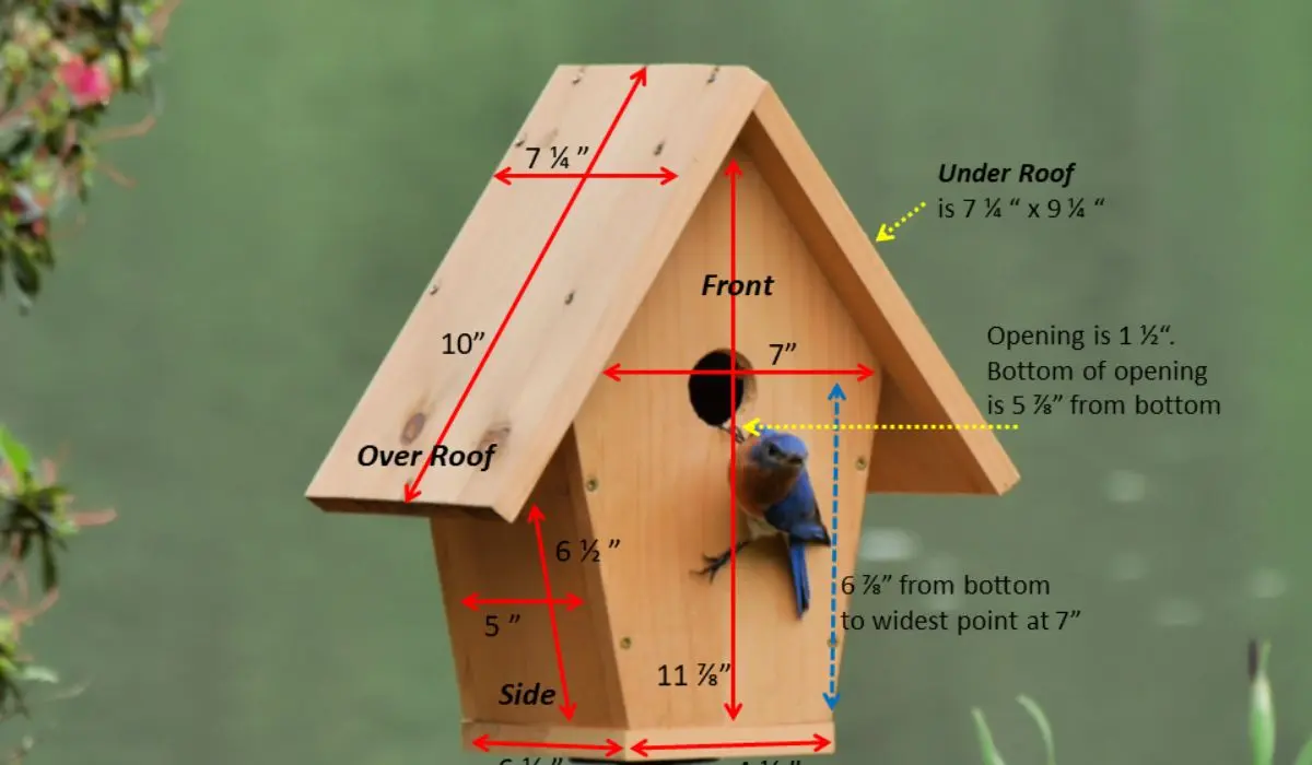 Bird House Hole Size Chart: Perfect Entry for Feathered Friends ...