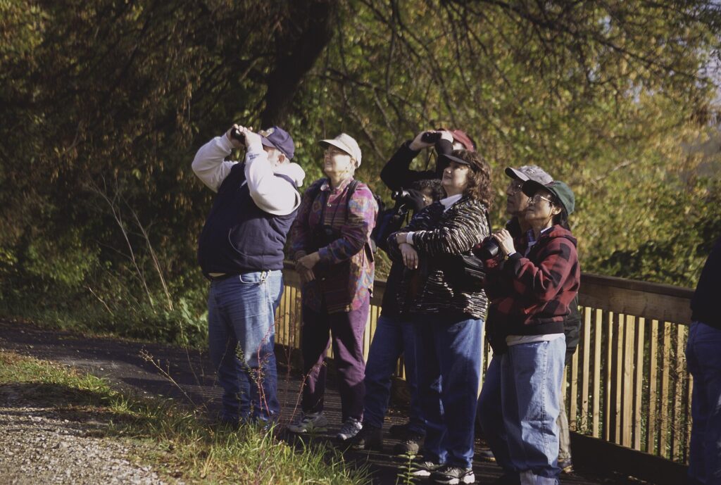 Birdwatchers with binoculars at a wildlife refuge
