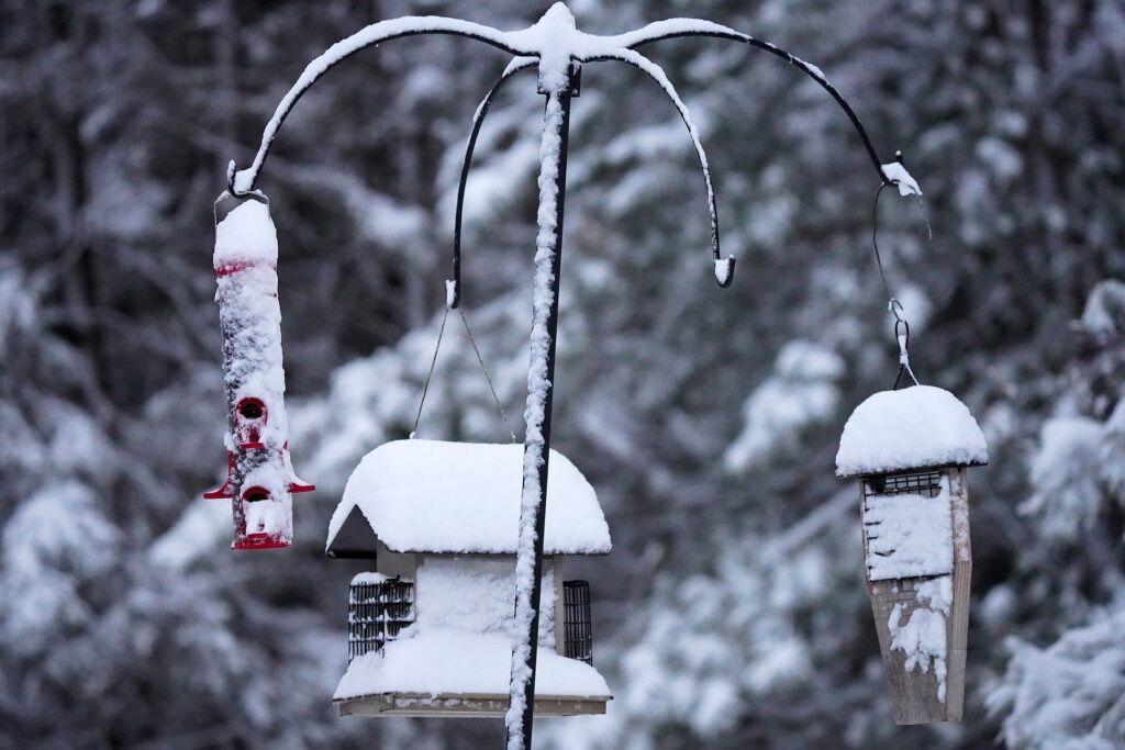 Bird feeders with snow-capped roofs in a Midwest yard after a snowfall