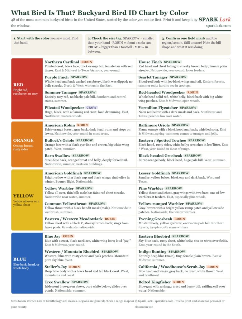 Backyard bird ID chart by color, page 1: red, orange, yellow and blue birds