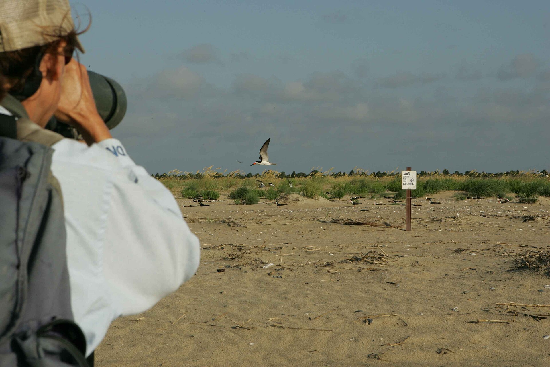 A photographer with a long telephoto lens tracks a bird in flight