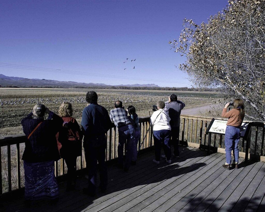Birdwatchers on a deck with binoculars and cameras