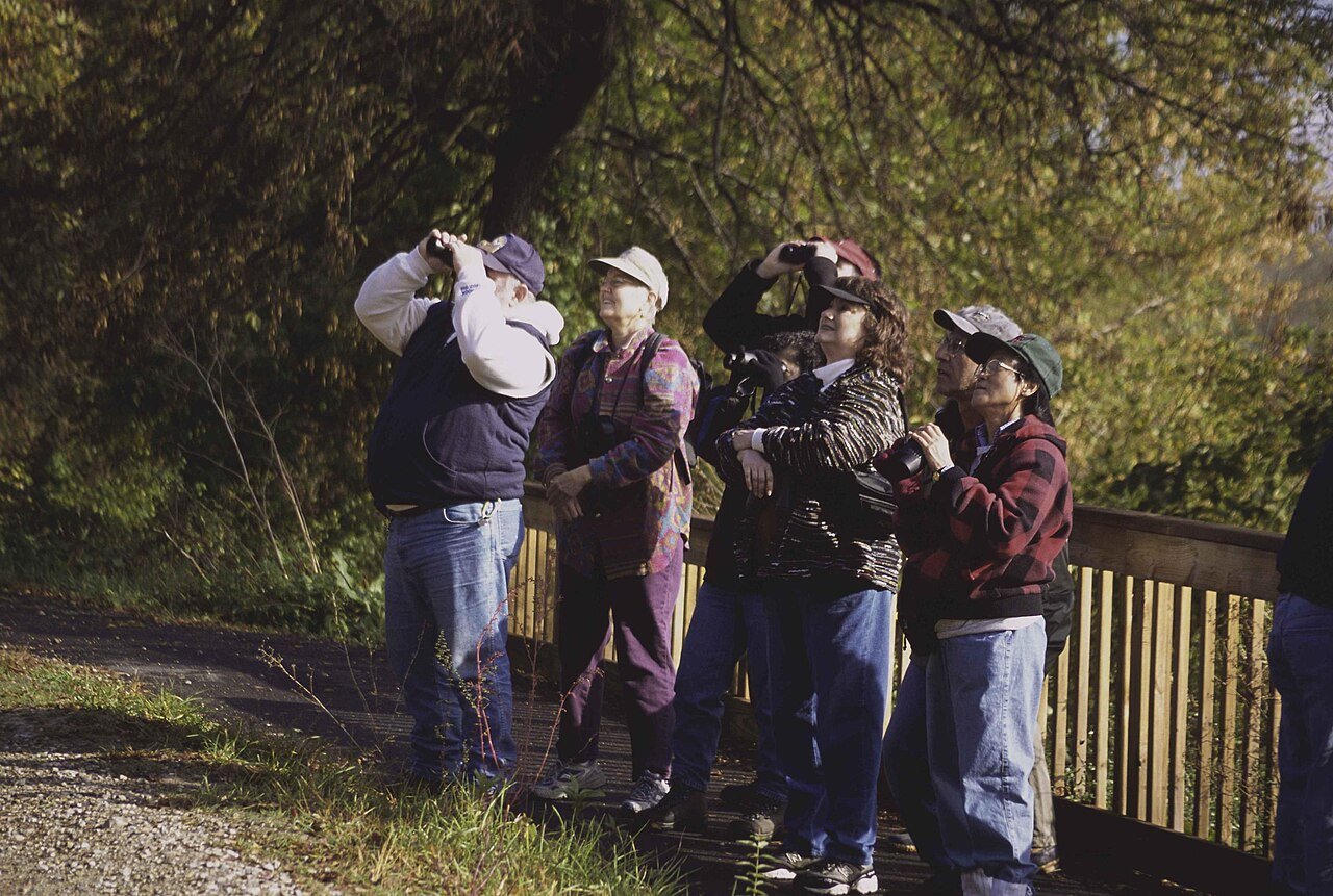 Birdwatchers looking through binoculars