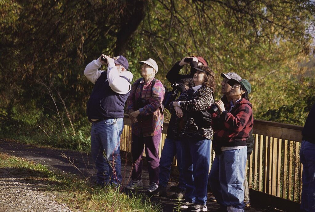 A birdwatcher with binoculars at a wildlife refuge