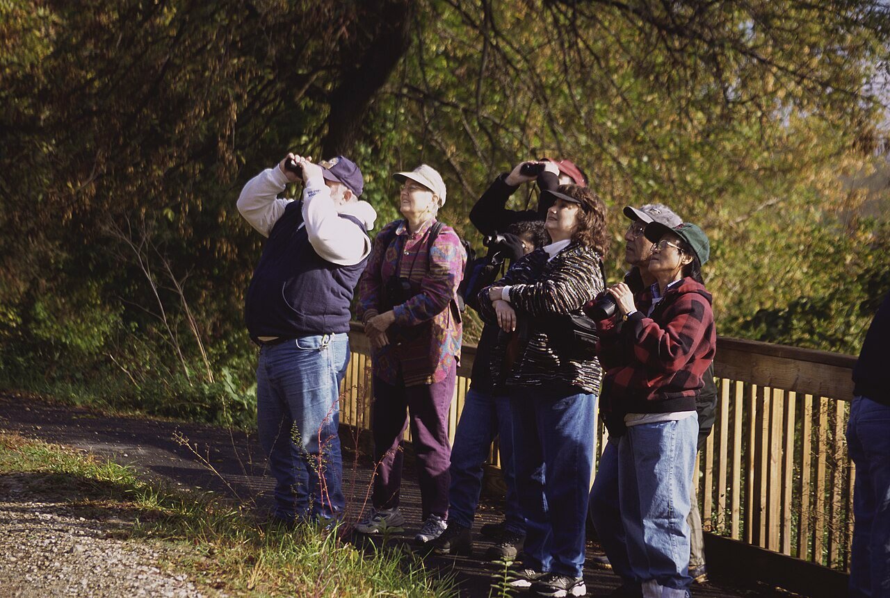 A birdwatcher with binoculars at a wildlife refuge