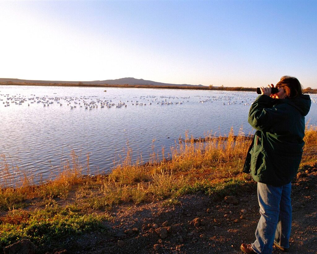 Birdwatchers with binoculars and a spotting scope at a wildlife refuge