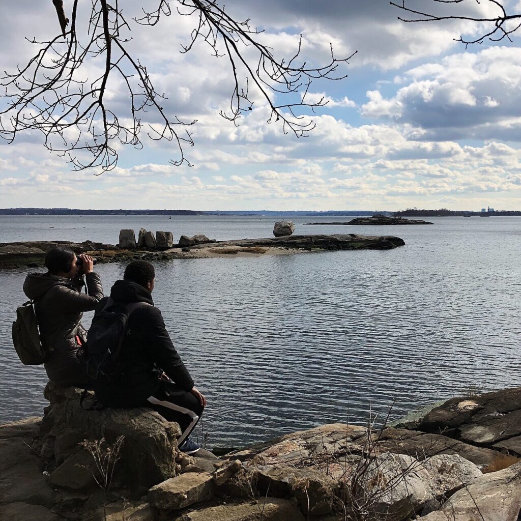 Two people birdwatching with binoculars in a park