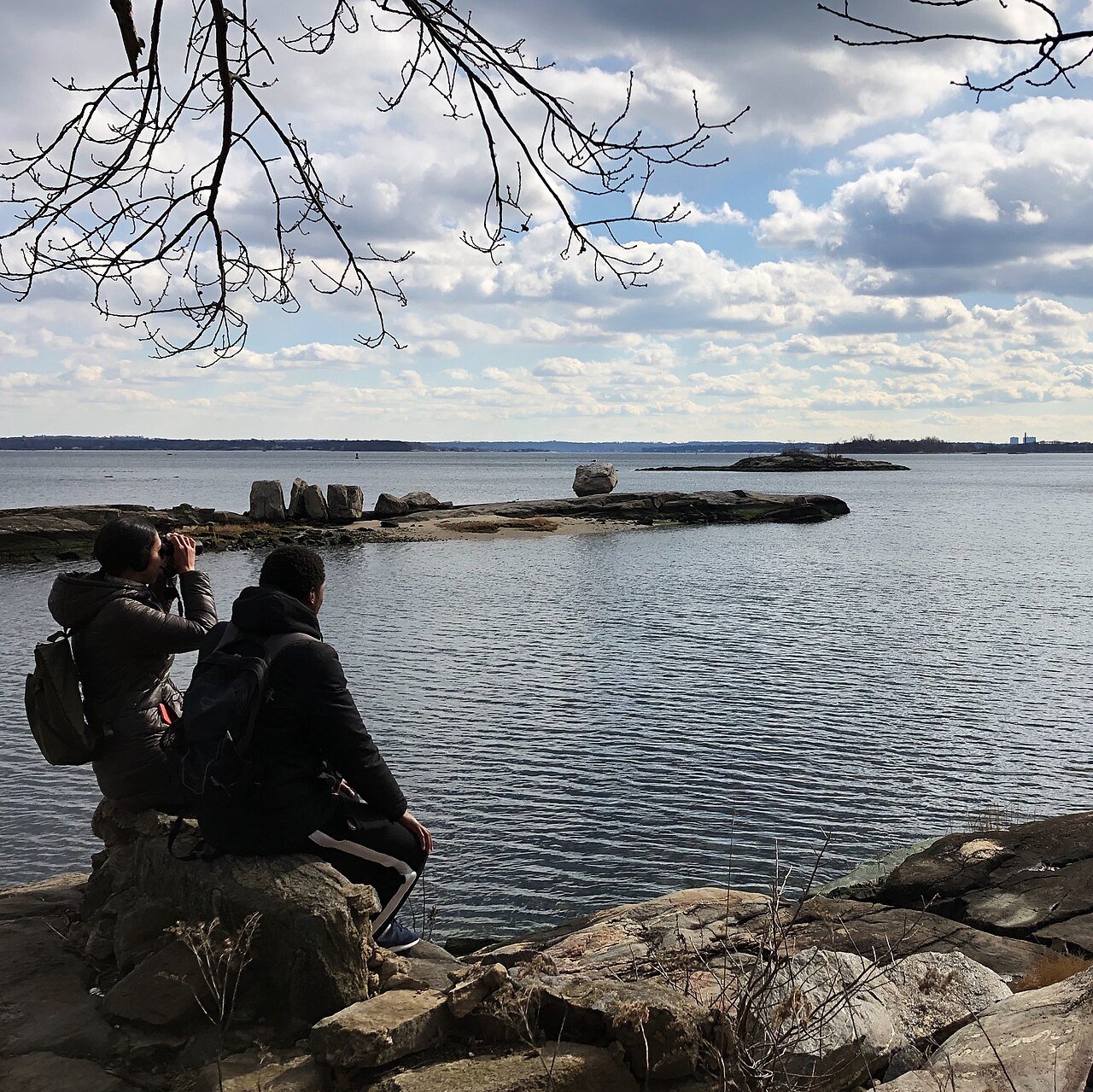 Two people birdwatching with binoculars in a park