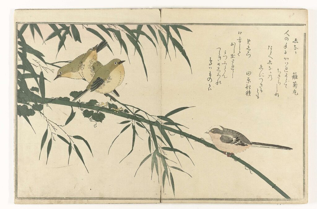 Eighteenth-century Japanese woodblock print by Kitagawa Utamaro showing four small birds on a bamboo branch