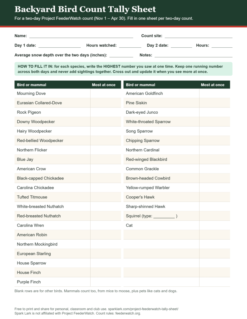 Preview of the free printable backyard bird count tally sheet