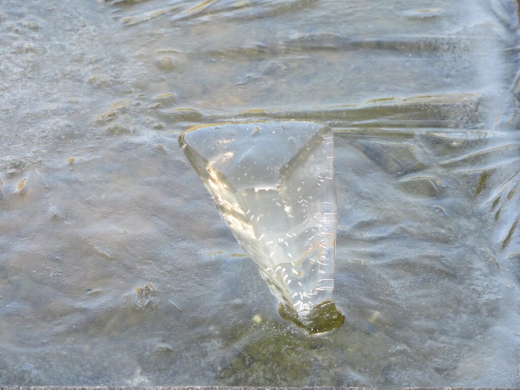 Frozen bird bath with an ice spike rising from the surface